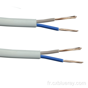 Câble plat RVV à basse tension 2x0,5 mm2 60227 IEC 52 300/300V Câble PVC